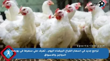 تراجع جديد في أسعار الفراخ البيضاء اليوم.. تعرف على سعرها في بورصة الدواجن والأسواق